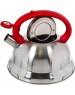 Чайник DANIKS MSY-013R (296817) 2.8 л