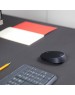 LOGITECH Мышь беспроводная M171, радио, оптическая, USB, 1000dpi, черный и серый [910-004643]