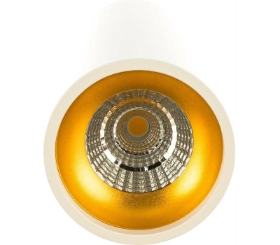 GAUSS Светильник Overhead HD012, 12 Вт, 3000К (белый теплый), белый/золото