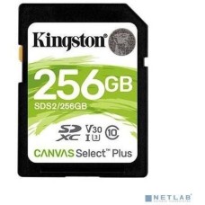 Kingston SDS2/256GB