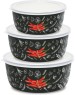 Набор мисок APPETITE 1DM47PL Chilli мисок эмал 3пр пласт/кр