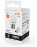 GAUSS Упаковка ламп LED E27, шар, 10Вт, 10 шт. [53210]