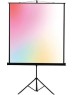 LUMIEN Экран Eco View LEV-100102, 180х180 см, 1:1, напольный черный