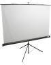 LUMIEN Экран Eco View LEV-100102, 180х180 см, 1:1, напольный черный