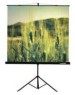LUMIEN Экран Eco View LEV-100102, 180х180 см, 1:1, напольный черный