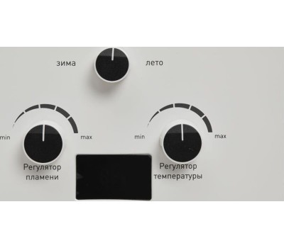 Водонагреватель газовый OASIS OR-24W (Р0000056687)