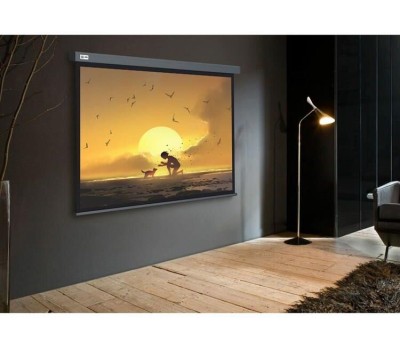 Экраны CACTUS Экран Wallscreen CS-PSW-124X221-SG, 221х124.5 см, 16:9, настенно-потолочный серый