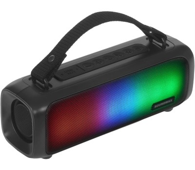 Портативные аудиосистемы SOUNDMAX SM-PS5021B(чёрный)