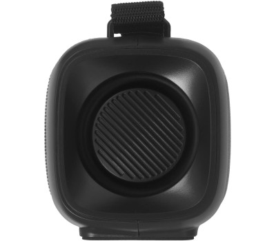 Портативные аудиосистемы SOUNDMAX SM-PS5021B(чёрный)