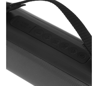 Портативные аудиосистемы SOUNDMAX SM-PS5021B(чёрный)