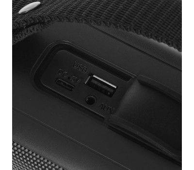 Портативные аудиосистемы SOUNDMAX SM-PS5021B(чёрный)