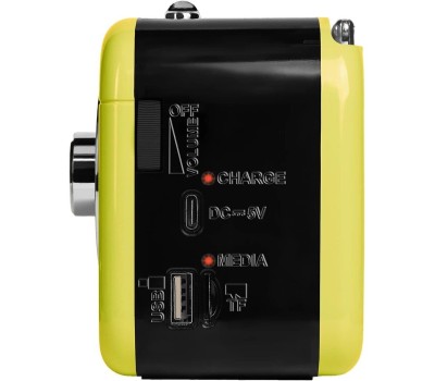 Радиоприемник RITMIX RPR-033 LEMON
