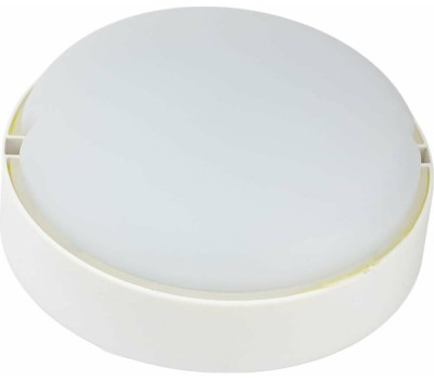 IEK Светильник ДПО2004 8Вт 6500К белый [ldpo0-2004-8-6500-k01]