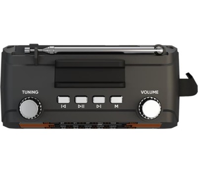 Радиоприемник SOUNDMAX SM-RD2114UB(черный)