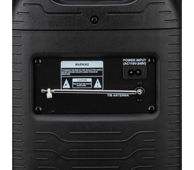 Мидисистема ELTRONIC (30-38) CRAZY BOX - колонка 08