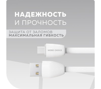 АЗУ MORE CHOICE (4627151191386) AC22m 2USB 2.4A для micro USB White