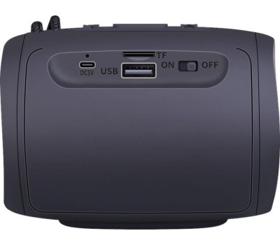 Портативная колонка DEFENDER (65200) ENJOY S200 черный