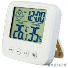 метеостанция-часы PERFEO Часы-метеостанция Izel , (PF-E0828)