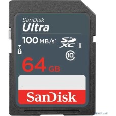 SanDisk SDSDUNR-064G-GN3IN