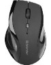 Мышь DEFENDER (52295) ACCURA MM-295 черный