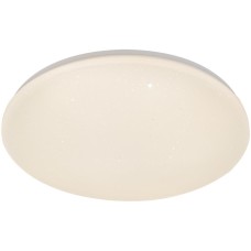ESCADA Потолочный светильник 10216/SG LED*40W White APP