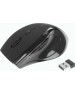 Мышь DEFENDER (52295) ACCURA MM-295 черный
