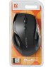 Мышь DEFENDER (52295) ACCURA MM-295 черный