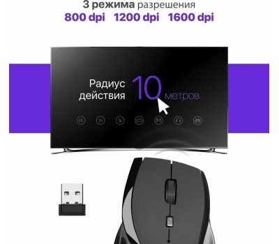 Мышь DEFENDER (52295) ACCURA MM-295 черный