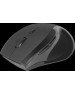 Мышь DEFENDER (52295) ACCURA MM-295 черный