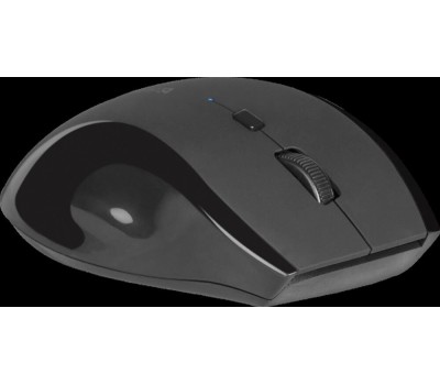 Мышь DEFENDER (52295) ACCURA MM-295 черный