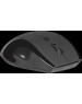 Мышь DEFENDER (52295) ACCURA MM-295 черный