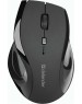 Мышь DEFENDER (52295) ACCURA MM-295 черный