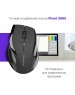 Мышь DEFENDER (52295) ACCURA MM-295 черный