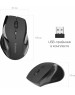 Мышь DEFENDER (52295) ACCURA MM-295 черный