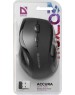 Мышь DEFENDER (52295) ACCURA MM-295 черный
