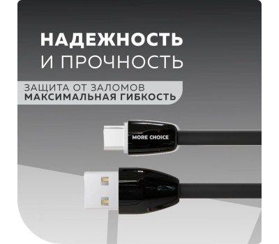 АЗУ MORE CHOICE (4627151191416) AC22a 2USB 2.4A для Type-C Black