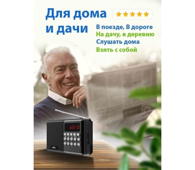 Радиоприемник RITMIX RPR-001 BLACK