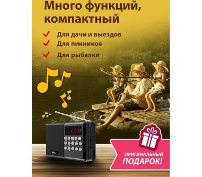 Радиоприемник RITMIX RPR-001 BLACK
