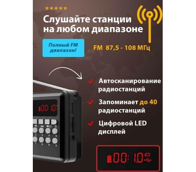 Радиоприемник RITMIX RPR-001 BLACK