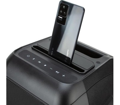 Мидисистема ELTRONIC (20-98) CRAZY BOX 1200 - колонка 06