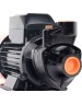 Насос PATRIOT 315302451 QB 60 370Вт