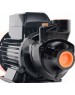 Насос PATRIOT 315302451 QB 60 370Вт