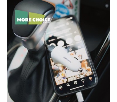 АЗУ MORE CHOICE (4627151191423) AC22a 2USB 2.4A для Type-C White