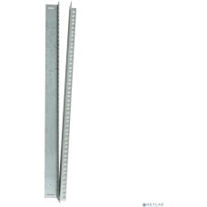 ЦМО Комплект вертикальных юнитовых направляющих (2 шт) для шкафов серии ШРН высотой 6U [ШРН-ВН-6]