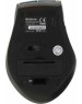 Мышь DEFENDER (52366) ACCURA MM-365 синий