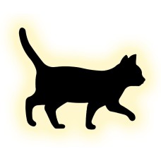 ESCADA Настенный светильник 10209/SG LED*5W Black