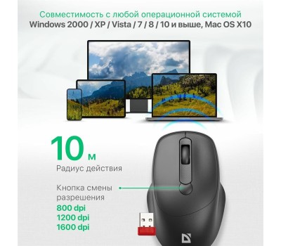 Мышь DEFENDER (52296) FEAM MM-296 черный