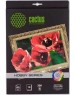 CACTUS Холст CS-CA426010, A4, для струйной печати, 10л, 260г/м2