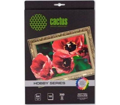 CACTUS Холст CS-CA426010, A4, для струйной печати, 10л, 260г/м2
