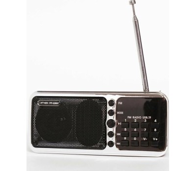 Радиоприёмник СИГНАЛ РП-226 BТ